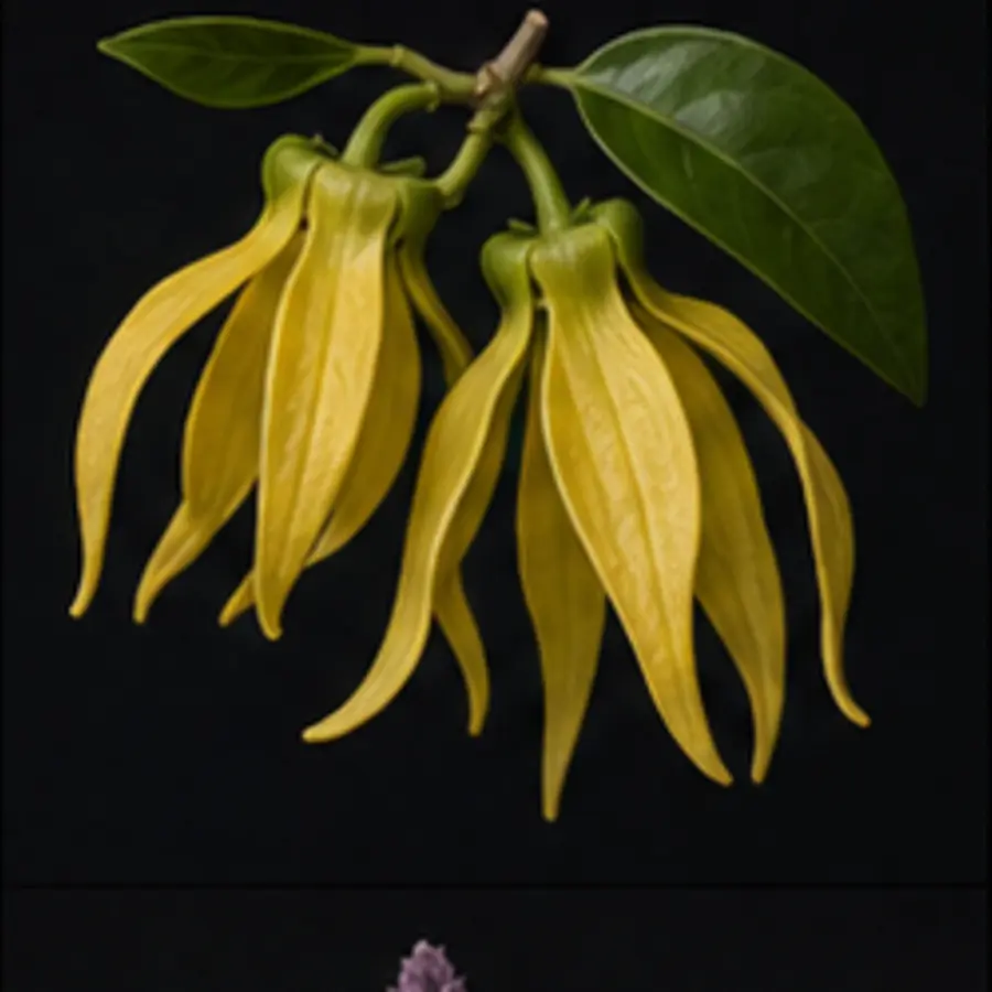 Ylang-ylang