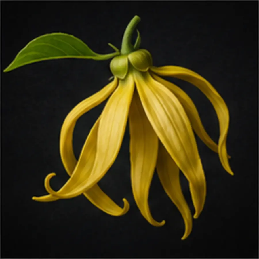 Ylang-ylang extra